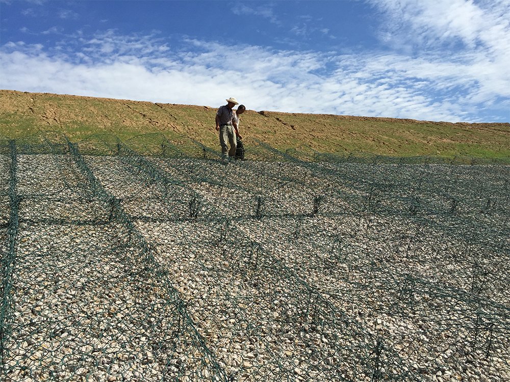 PE涂塑綠格網(wǎng)